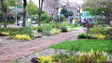 花之道！台中「忠明園道」綻放花園新貌