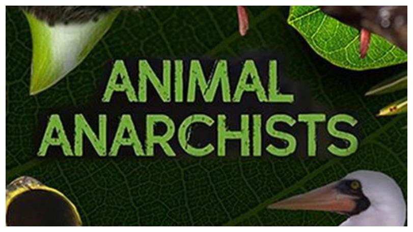 《大自然的奧秘AnimalAnarchists》探討動物行為背後的道德和倫理問題
