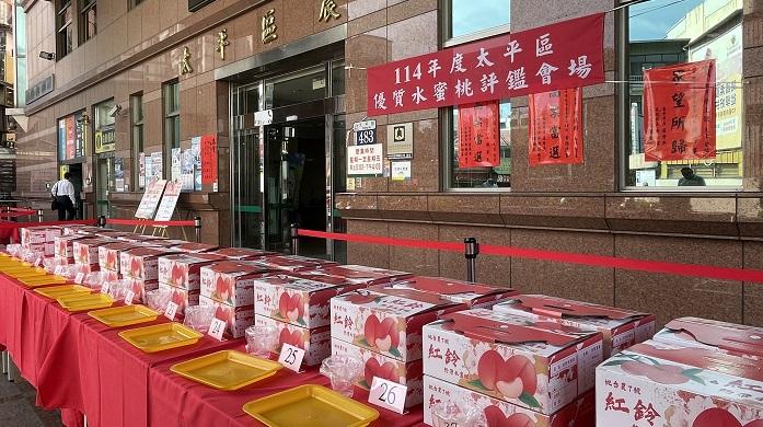 台中太平區優質水蜜桃果品評鑑競賽　農友張博能勇奪平地水蜜桃達人