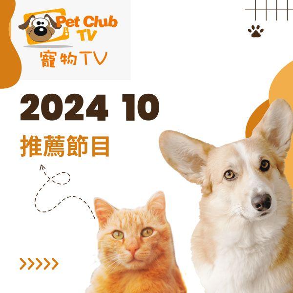 寵物TV 2024年10月推薦節目