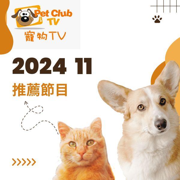 寵物TV 2024年11月推薦節目